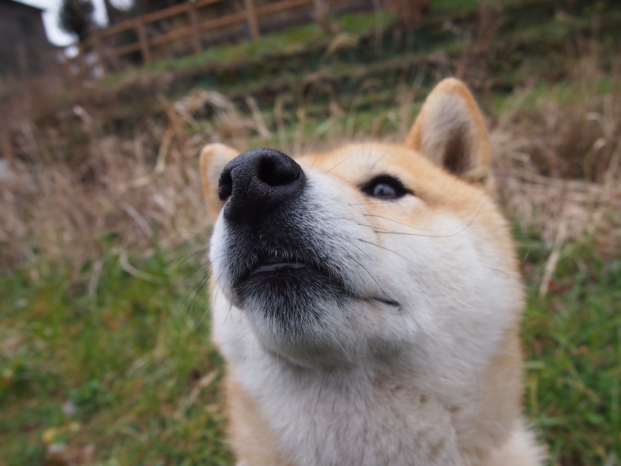 中国篮球题材纪录片获得国际奖项讲述球员成长奋斗经历,篮球人物纪录片全部