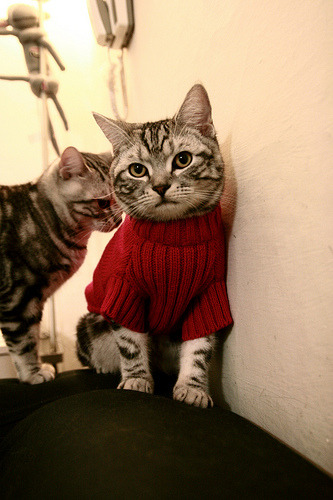 沙特国家德比再起波澜:耶稣转投利雅得胜利,沙特 利雅得